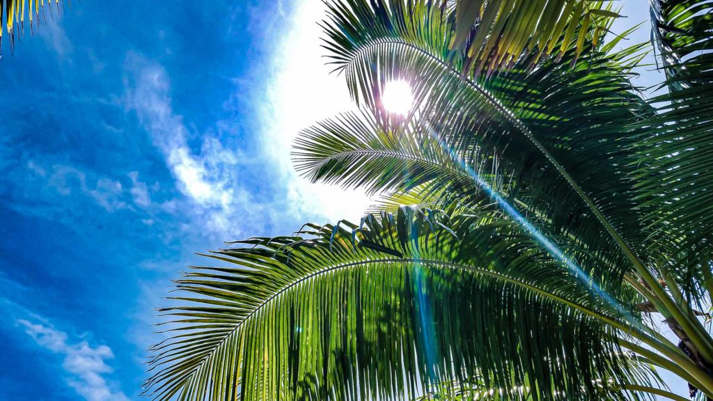 2016-cruise-day15-08