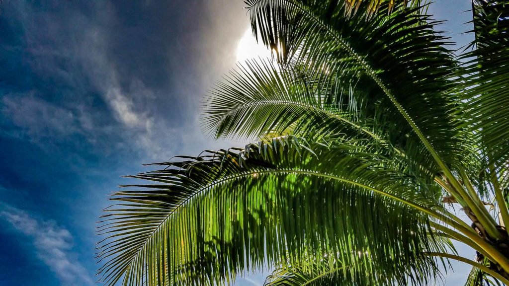 2016-cruise-day15-09