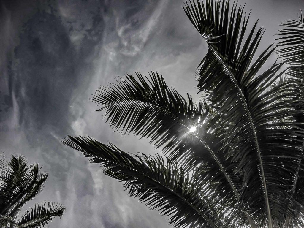 DCIM100GOPROGOPR0173.