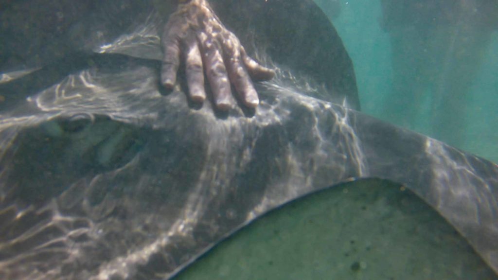 DCIM100GOPROG0020195.