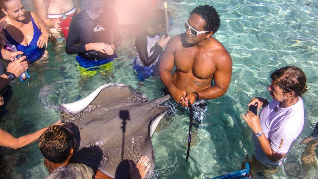 DCIM100GOPROG0060229.