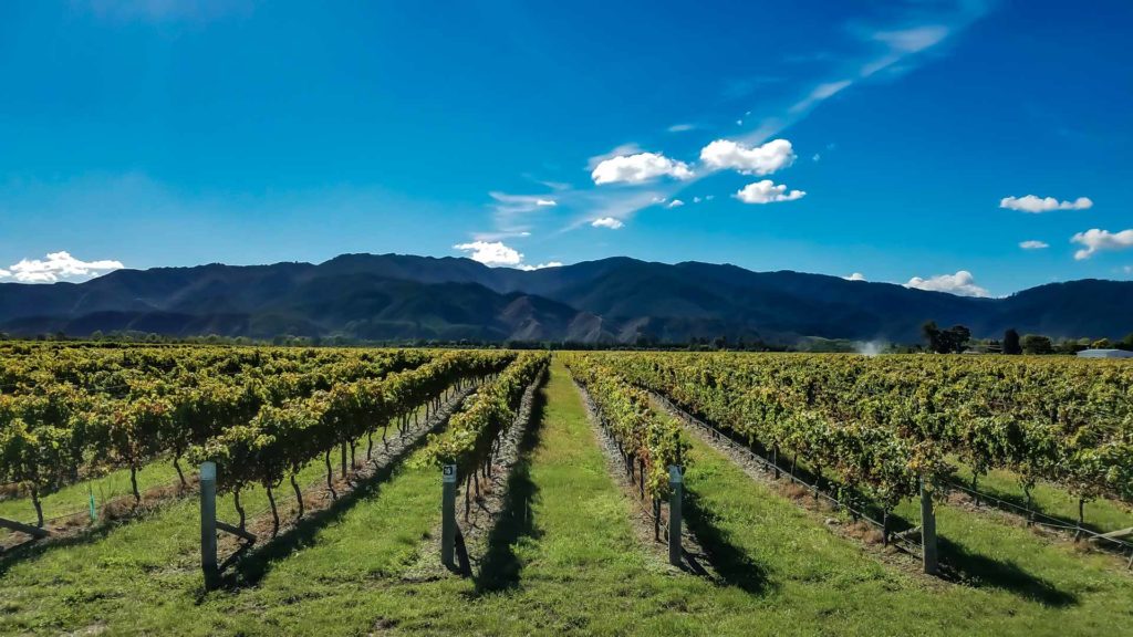 2016-cruise-day8-02 2016 South Pacific Adventure - Marlborough Region New Zealand