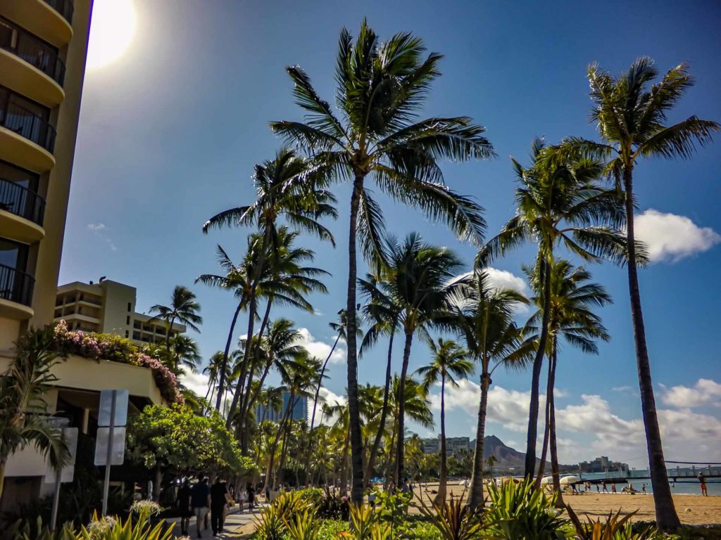 DCIM100GOPROGOPR0394.