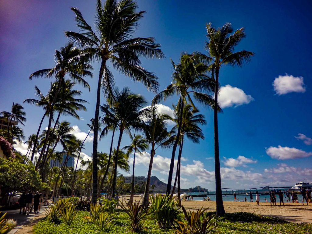 DCIM100GOPROGOPR0395. Life's About Experiences South Pacific Adventure Day 24