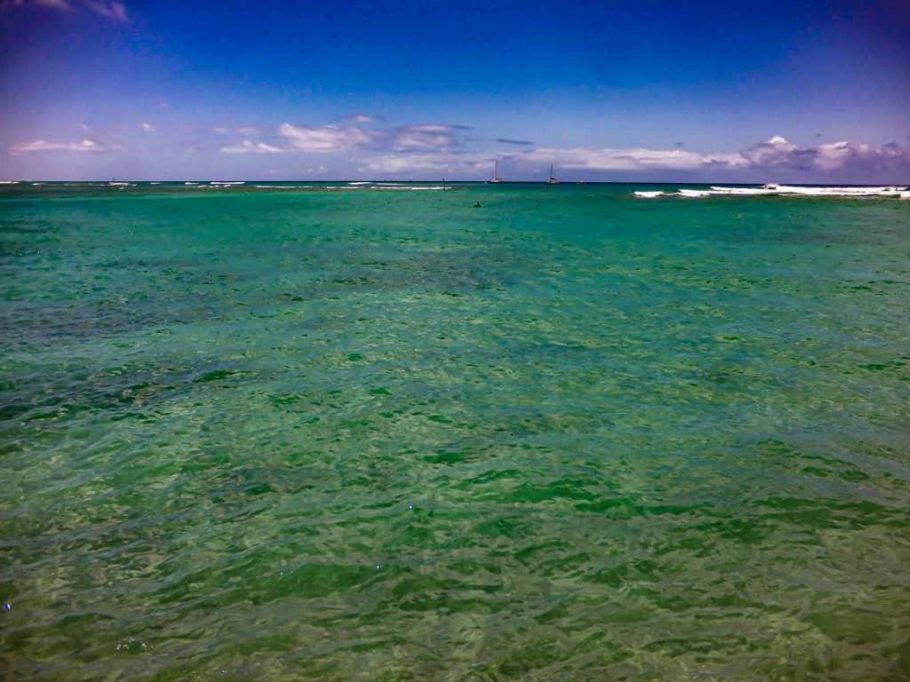 DCIM100GOPROGOPR0407.